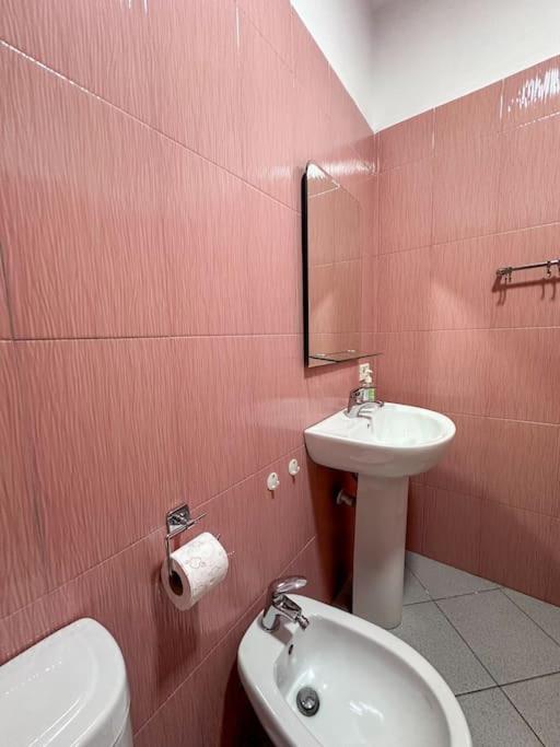 Elegant Rose Center Oasis Tirana