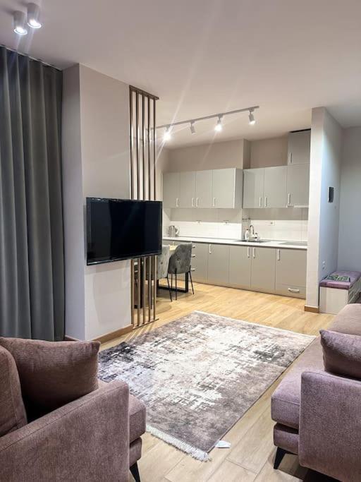 Apartment Elegant Rose Center Oasis *